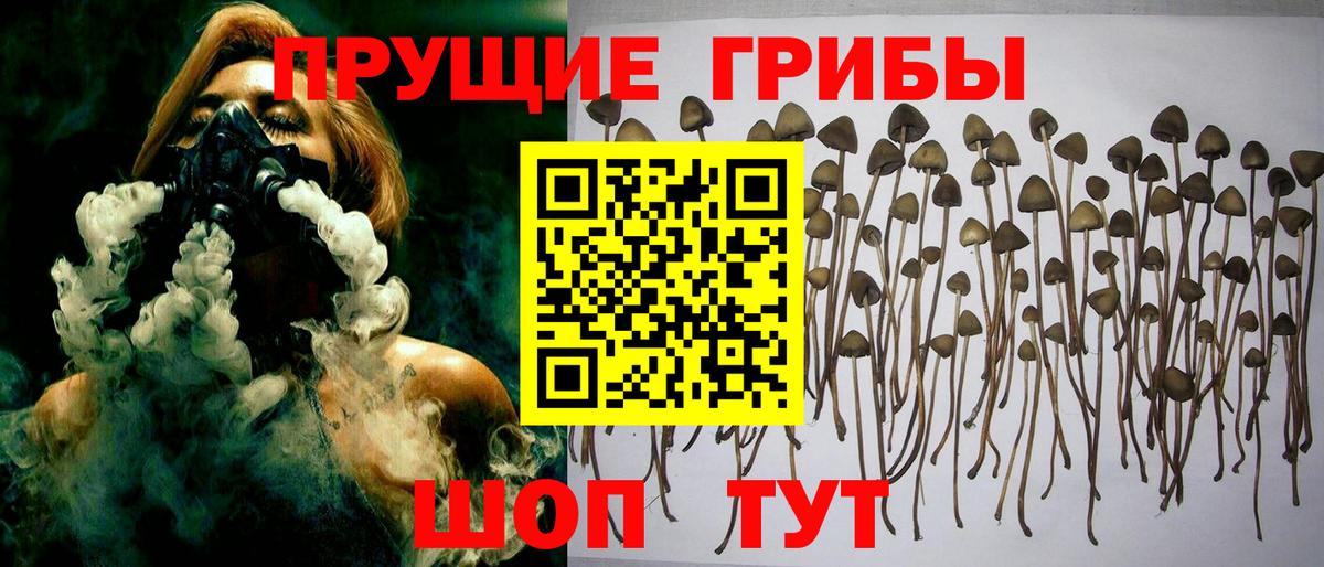 Тимашёвск  Галлюциногенные грибы ЛСД  Вход с VPN 